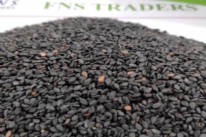 Sesame Seeds from Bangladesh